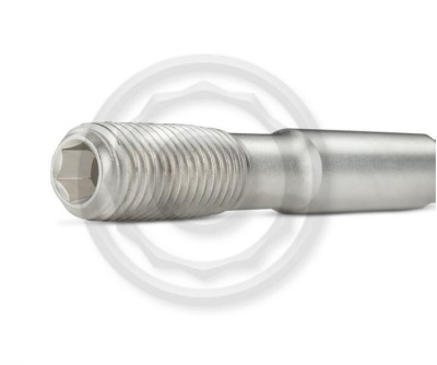 PRO SERIES Комплект шпилек ГБЦ для VAG R36 Никелированное покрытие