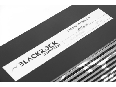 BlackRock Lab BMW-INT-0305 Интеркулер для BMW G30/31/32 5&6 серий