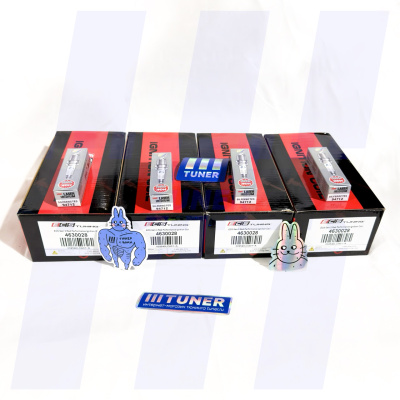 TUNER Комплект высокопроизводительных катушек ECS Tuning и свечей зажигания NGK (RS6)