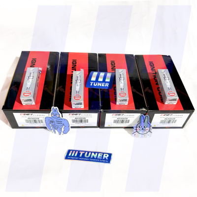 TUNER Комплект высокопроизводительных катушек ECS Tuning и свечей зажигания NGK (RS6)