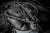 Eventuri EVE-G8XMV2-CFM-INT Впускная система из карбона для BMW M3/M4 G8x (матовая)